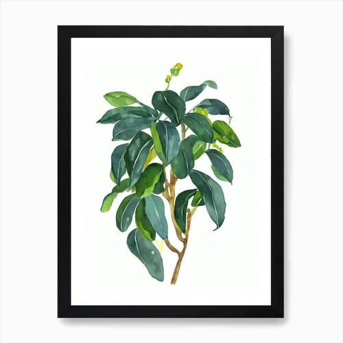 String bananas senecio - string, of